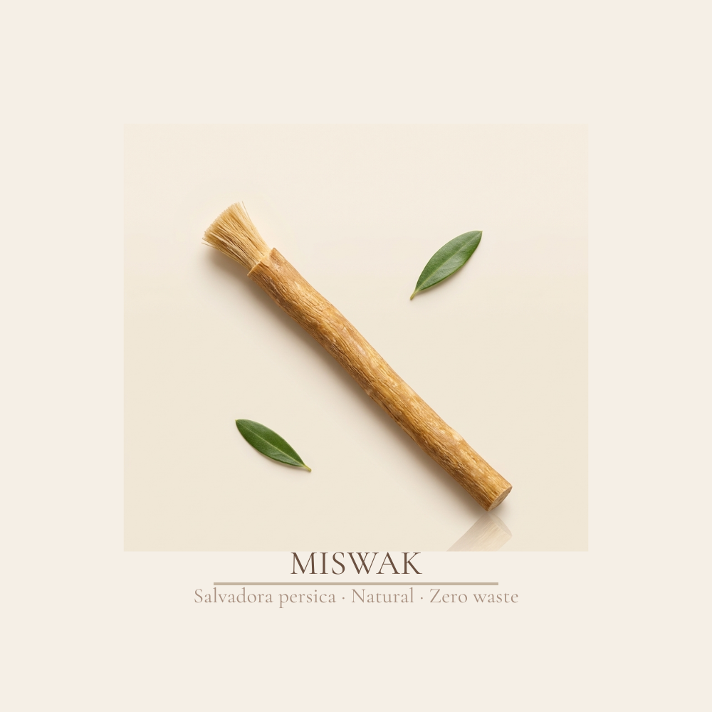 Miswak Natural Toothbrush Stick — Salvadora Persica